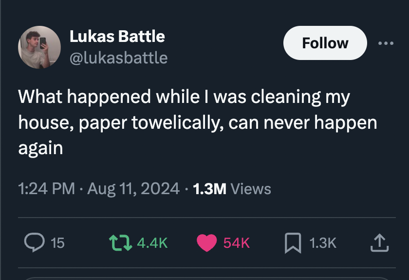 screenshot - Lukas Battle What happened while I was cleaning my house, paper towelically, can never happen again 1.3M Views Q15 tz 54K